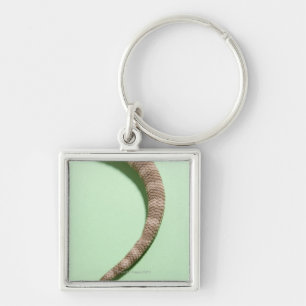 Tail of bearded dragon keychain