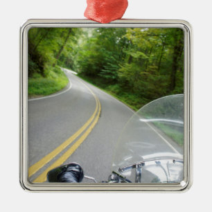 Tail of the Dragon Metal Ornament