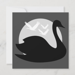 Tail Risk for Black Swan Invitation