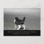 Tail Up (kitten) Postcard at Zazzle