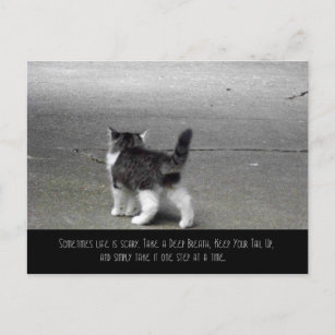 Tail Up (Kitten) Postcard