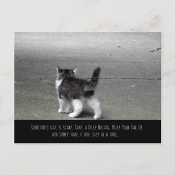 Tail Up (kitten) Postcard by jaisjewels at Zazzle