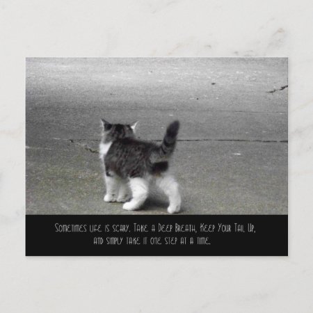 Tail Up (kitten) Postcard