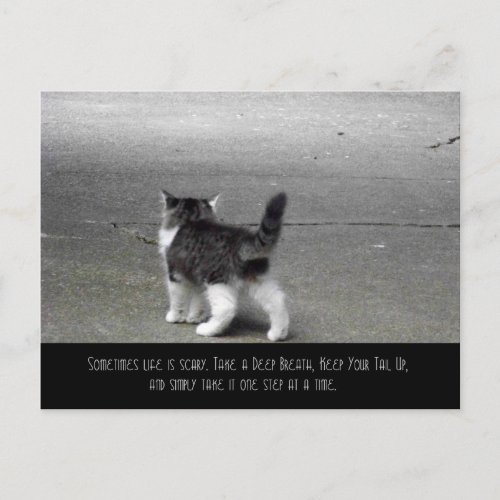 Tail Up Kitten Postcard