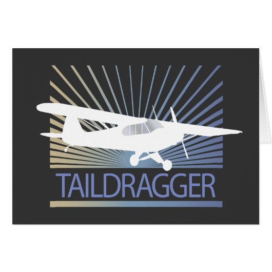 Taildragger Airplane (Front Horizontal)