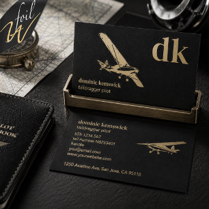 Taildragger Pilot Gold Foil Aviation Business Cards