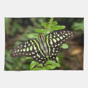 Tailed Jay butterfly Kitchen Towel