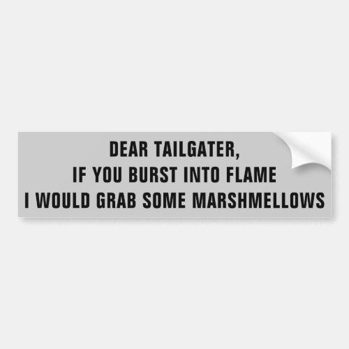 Tailgater I Would Roast Marshmellows on You Bumper Sticker