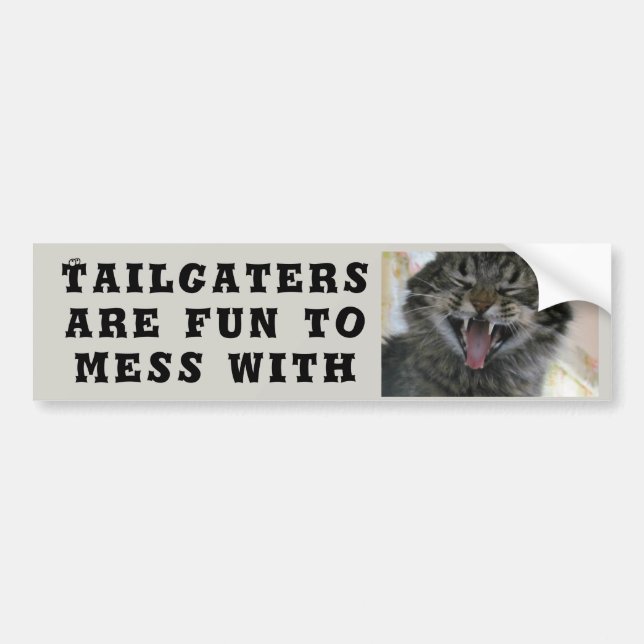 Tailgaters are Fun to Mess With Cat Meme Bumper Sticker (Front)