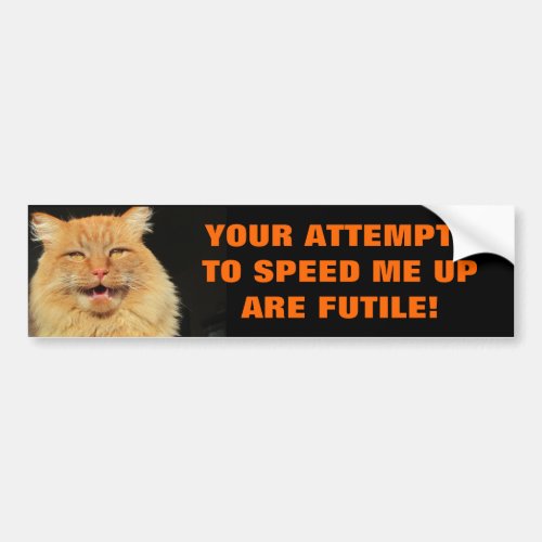 Tailgaters Attempts are Futile Cat Meme Bumper Sticker