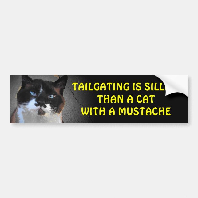 Tailgating is Sillier Than A Cat With A Mustache Bumper Sticker (Front)
