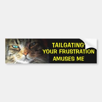 Tailgating? Your Frustration Amuses Bumper Cat Bumper Sticker by talkingbumpers at Zazzle