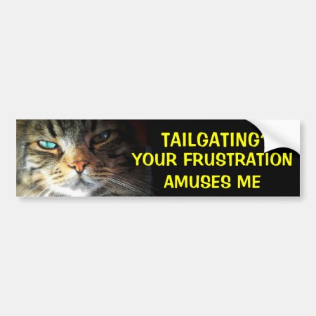 Tailgating? Your Frustration Amuses Bumper Cat Bumper Sticker