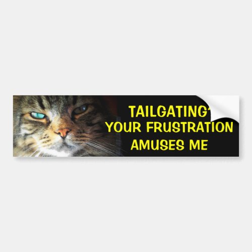 Tailgating Your Frustration Amuses Bumper Cat Bumper Sticker