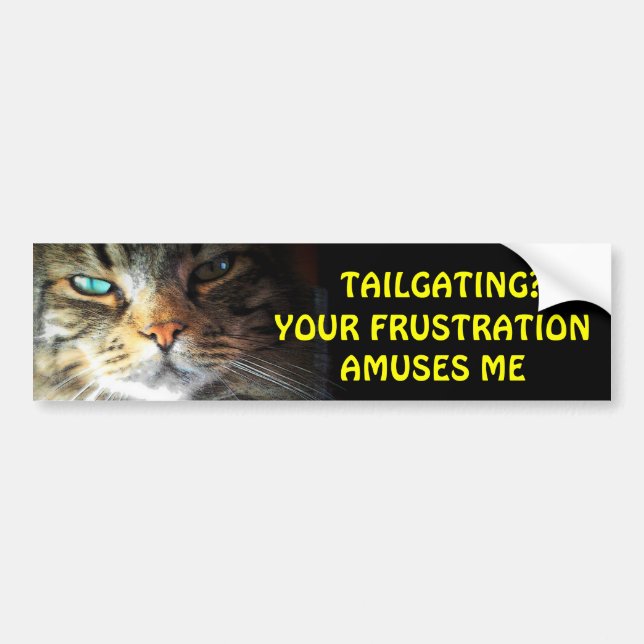 Tailgating? Your Frustration Amuses Me Bumper Cat Bumper Sticker (Front)