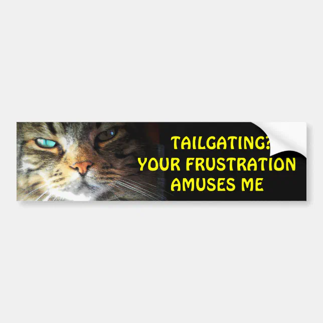 Frasturation Sticker Tailgating? Your Frustration Amuses Me Bumper Cat Sticker | Zazzle