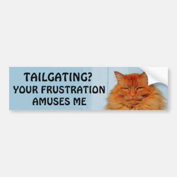 Tailgating? Your Frustration Amuses Me Pumpkin Bumper Sticker by talkingbumpers at Zazzle
