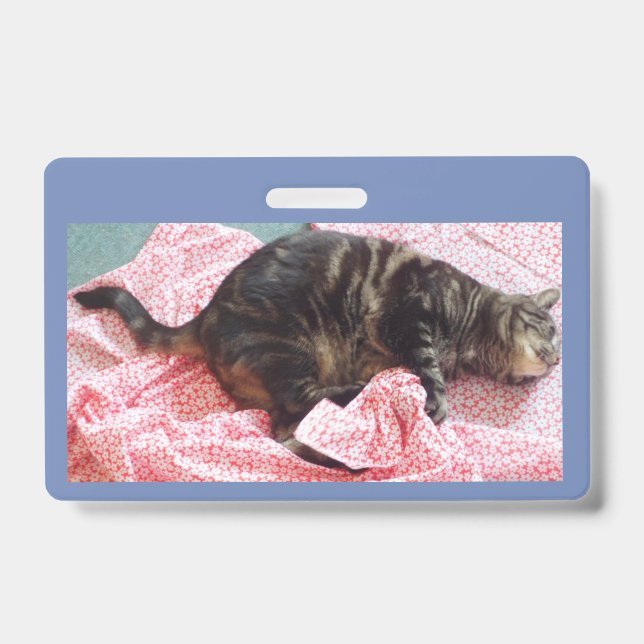 Tailor Dave ID Badge (Front)