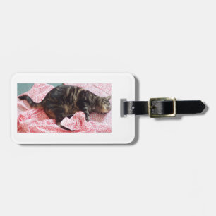 Tailor Dave Luggage Tag