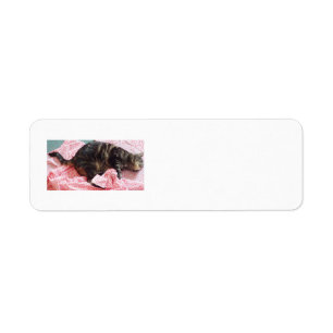 Tailor Dave Return Address Labels