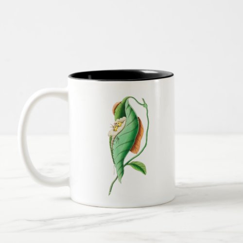 Tailor Warbler Vintage Two_Tone Coffee Mug