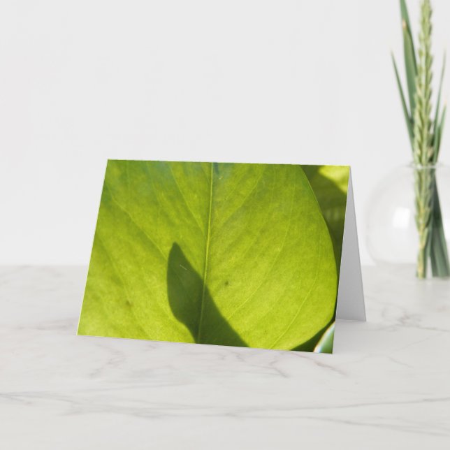 Taiwan Flora Leaf Card (Front)