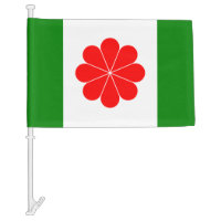 Taiwan Independence Car Flag