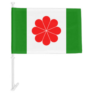 Taiwan Independence Car Flag