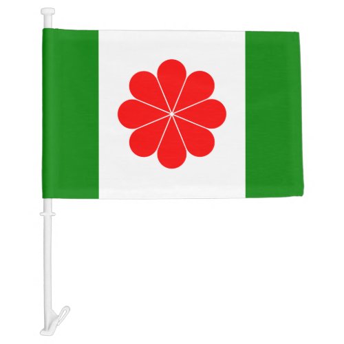 Taiwan Independence Car Flag