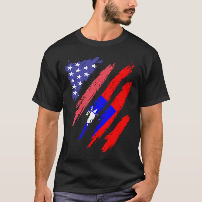 Taiwanese American Patriot Grown Heart Flag Stripe T-Shirt (Front)