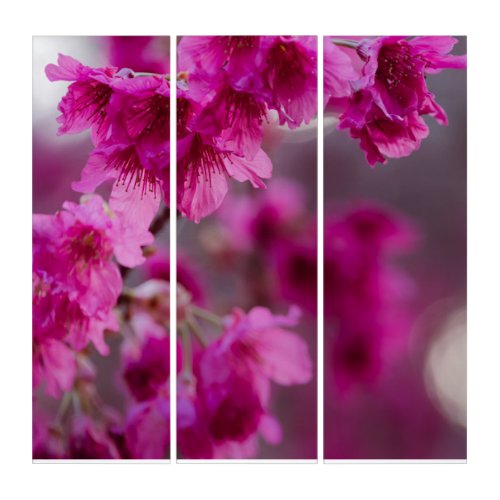 Taiwanese Cherry Tree Blossom Triptych