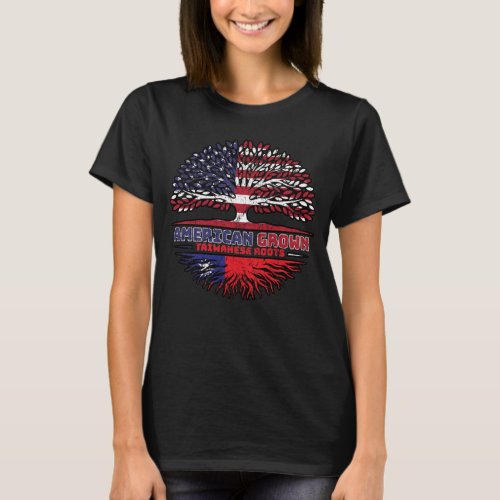 Taiwanese Taiwan US American USA United States T_Shirt