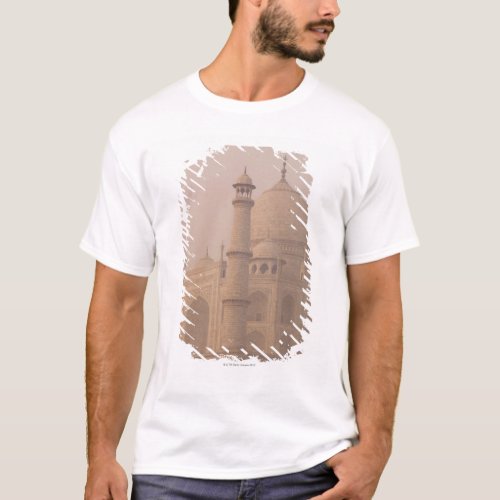Taj Mahal Agra Uttar Pradesh India 6 T_Shirt