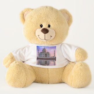 Taj Mahal Teddy Bear