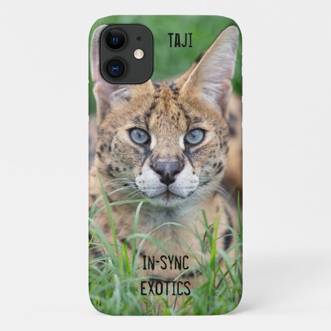 Taji - Case-Mate iPhone case (Back)