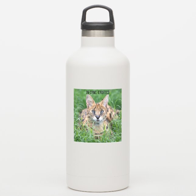 Taji - sticker (Waterbottle)
