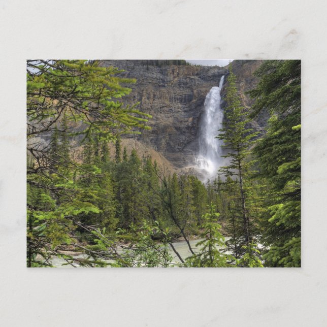 Takakkaw Falls Postcard (Front)