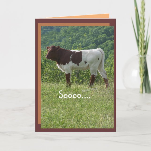 TakaraBday -customize- any occasion Card (Front)