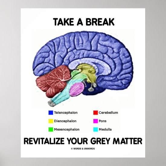 Take A Break Revitalize Your Grey Matter (Brain) Poster