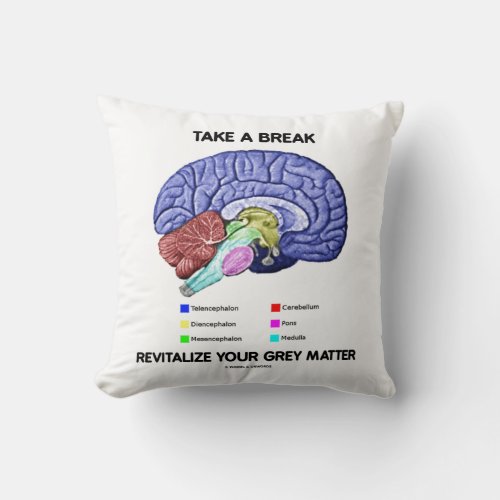 Take A Break Revitalize Your Grey Matter Brain Throw Pillow