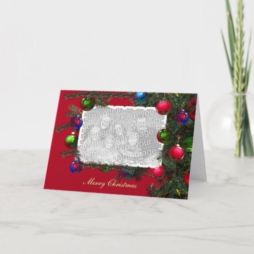 Take a Christmas Bough Photo Holiday Card