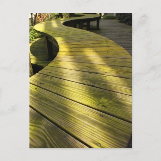 Take a Walk Postcard (Front)