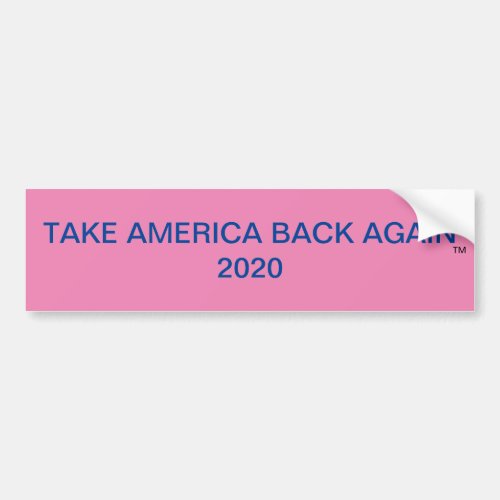 TAKE AMERICA BACK AGAIN BUMPER STICKER