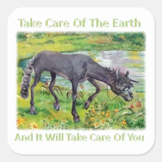 Take Care Of The Earth Iown Sticker 