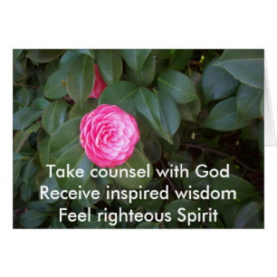 Take Counsel With God Cards