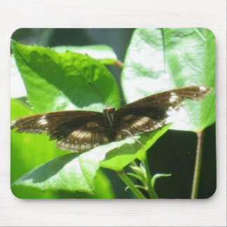 Take Flight Mouse Pad