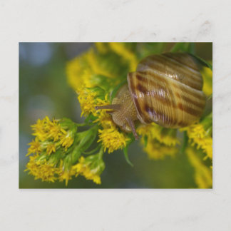 Take it easy postcard