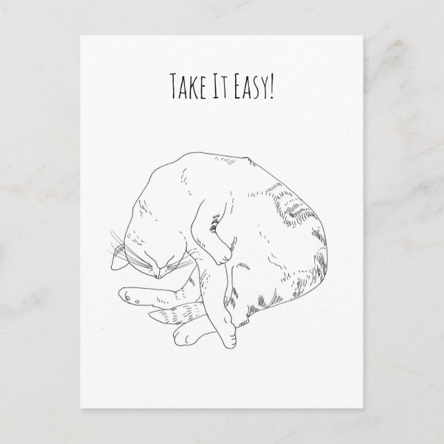 Take It Easy Sleeping Cat Personalized Postcard (Front)