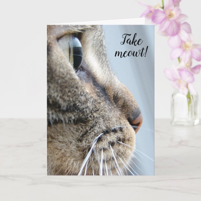 Take me out! Cat Kitten Valentine's Day Card (Orchid)