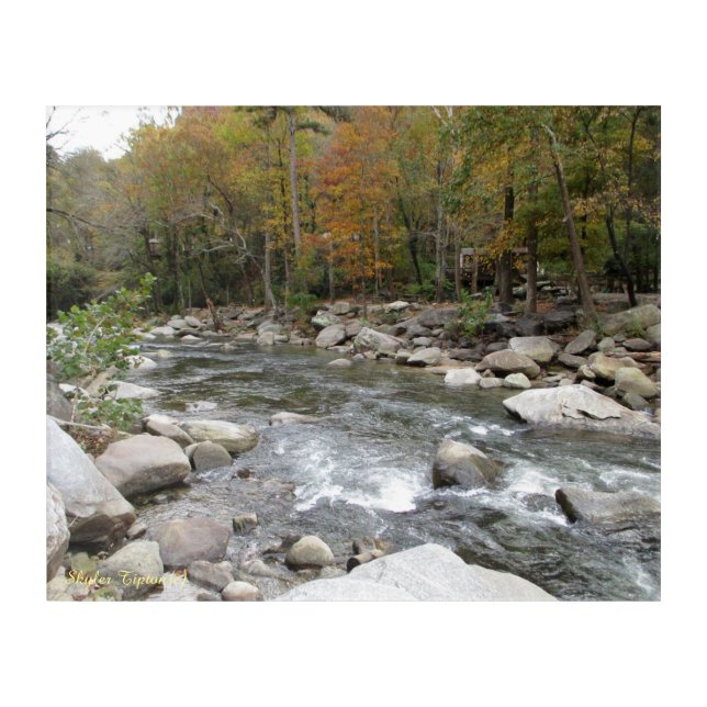 Take Me Out to the Creek Acrylic Print (Front)